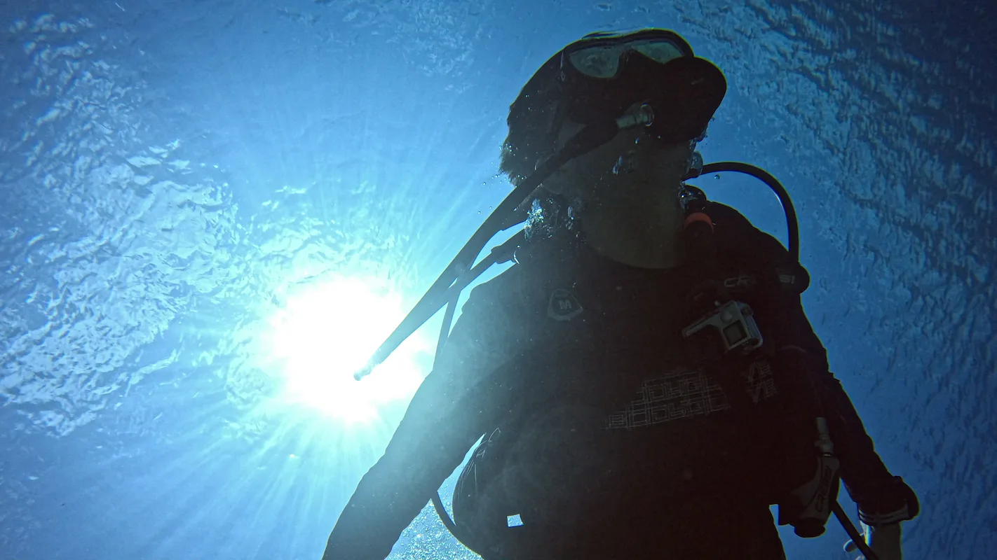 DR. WELTON DIVING